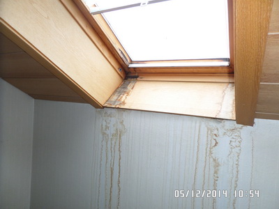 sch&auml;dlicher Schimmelpilz am Dachfenster Freiburg im Breisgau Schimmelgutachter